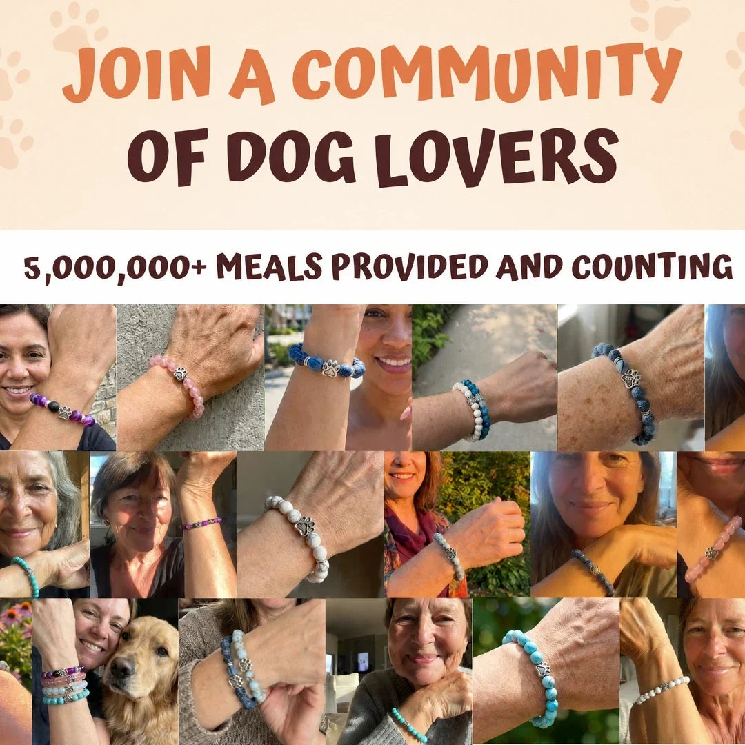 The Monthly Pets Club