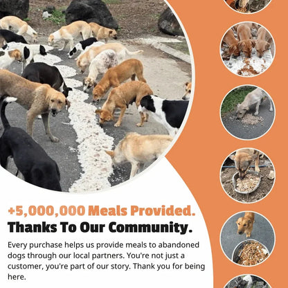 Lunora Bracelet