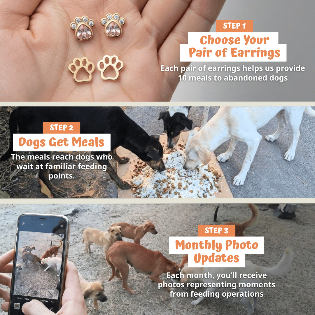 Radiant Pets Earrings